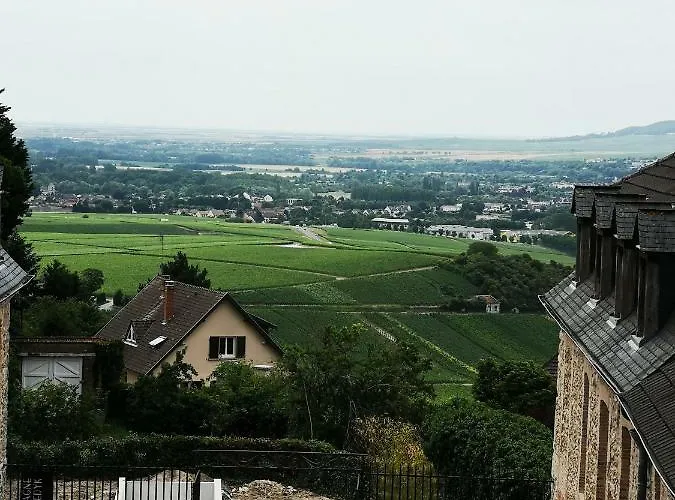 Au Terminus 2 Climatise Apartment Hautvillers